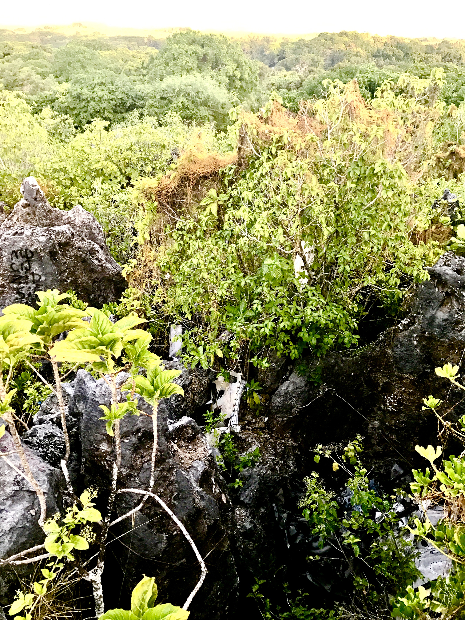 nauru187